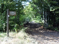 La limite régionale repart dans la forêt pour longer la Haute-Moselle jusqu'au Girmont-Val-d'Ajol